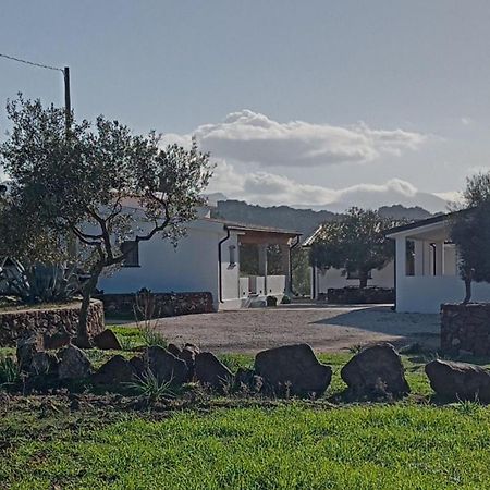Agriturismo Sa Murta Dorgali Εξωτερικό φωτογραφία