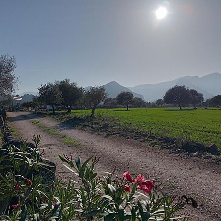 Agriturismo Sa Murta Dorgali Εξωτερικό φωτογραφία