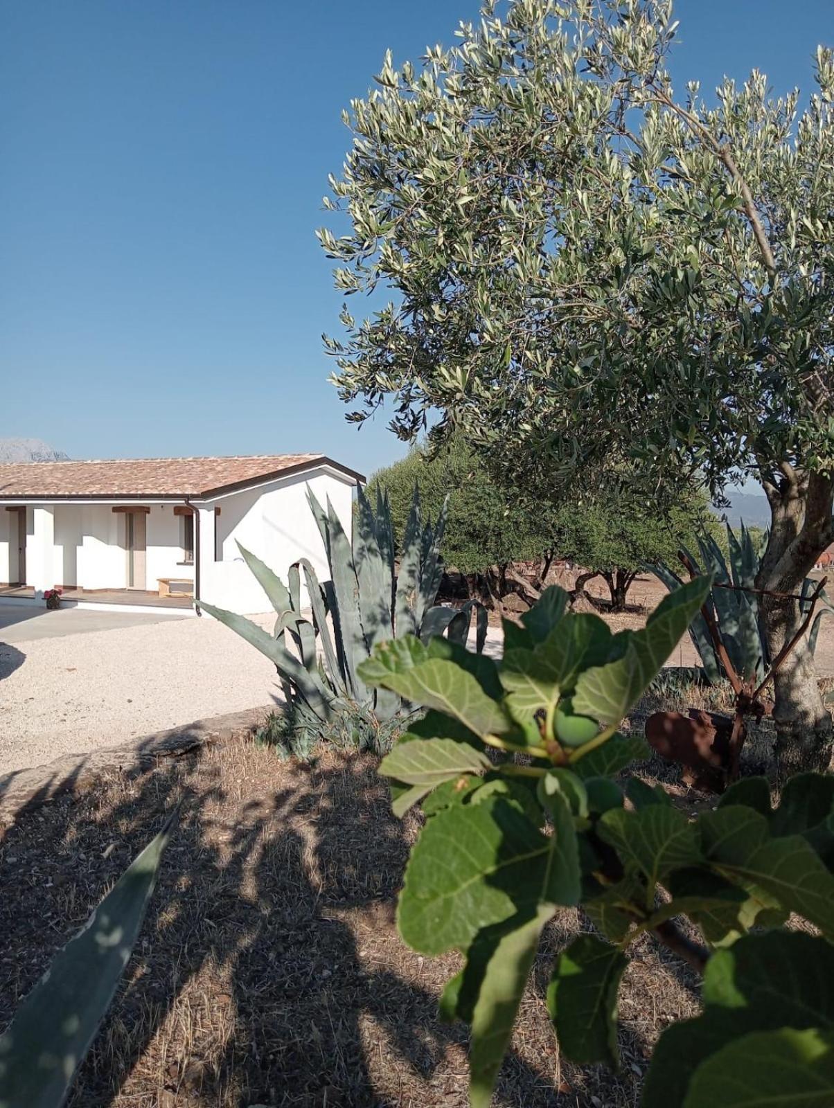 Agriturismo Sa Murta Dorgali Εξωτερικό φωτογραφία