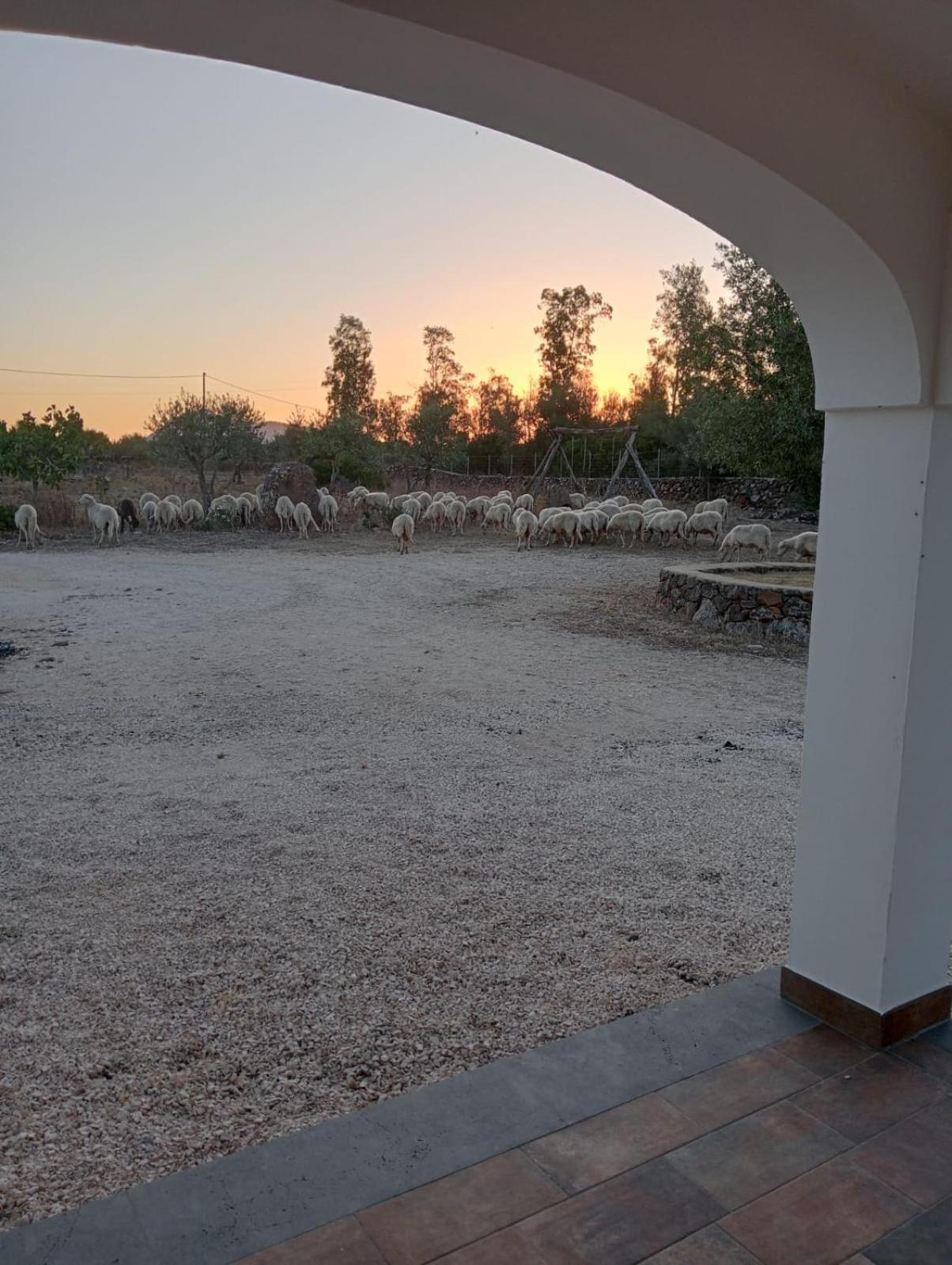 Agriturismo Sa Murta Dorgali Εξωτερικό φωτογραφία
