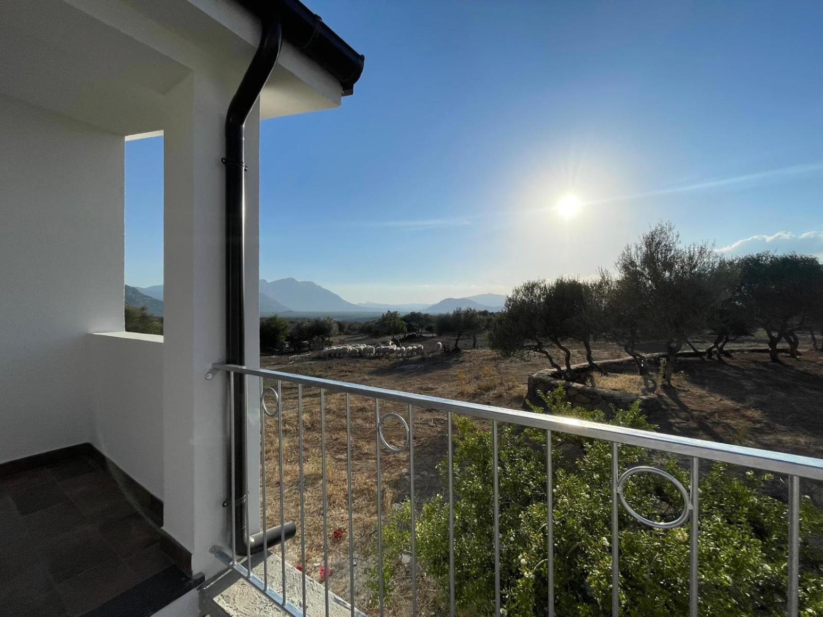 Agriturismo Sa Murta Dorgali Εξωτερικό φωτογραφία