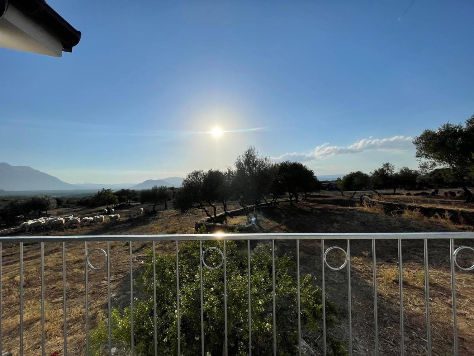 Agriturismo Sa Murta Dorgali Εξωτερικό φωτογραφία