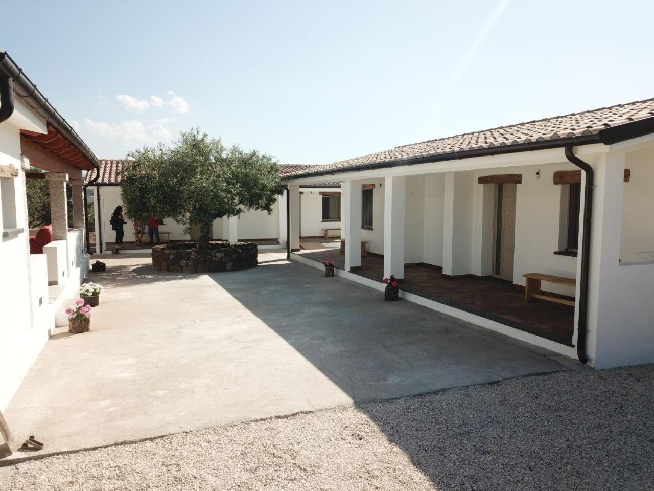 Agriturismo Sa Murta Dorgali Εξωτερικό φωτογραφία