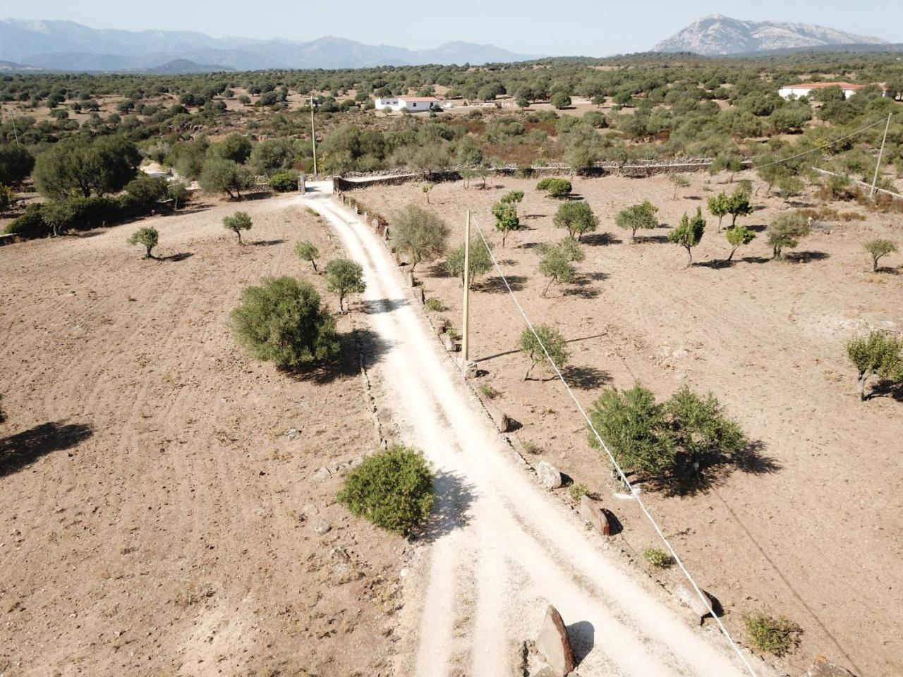 Agriturismo Sa Murta Dorgali Εξωτερικό φωτογραφία
