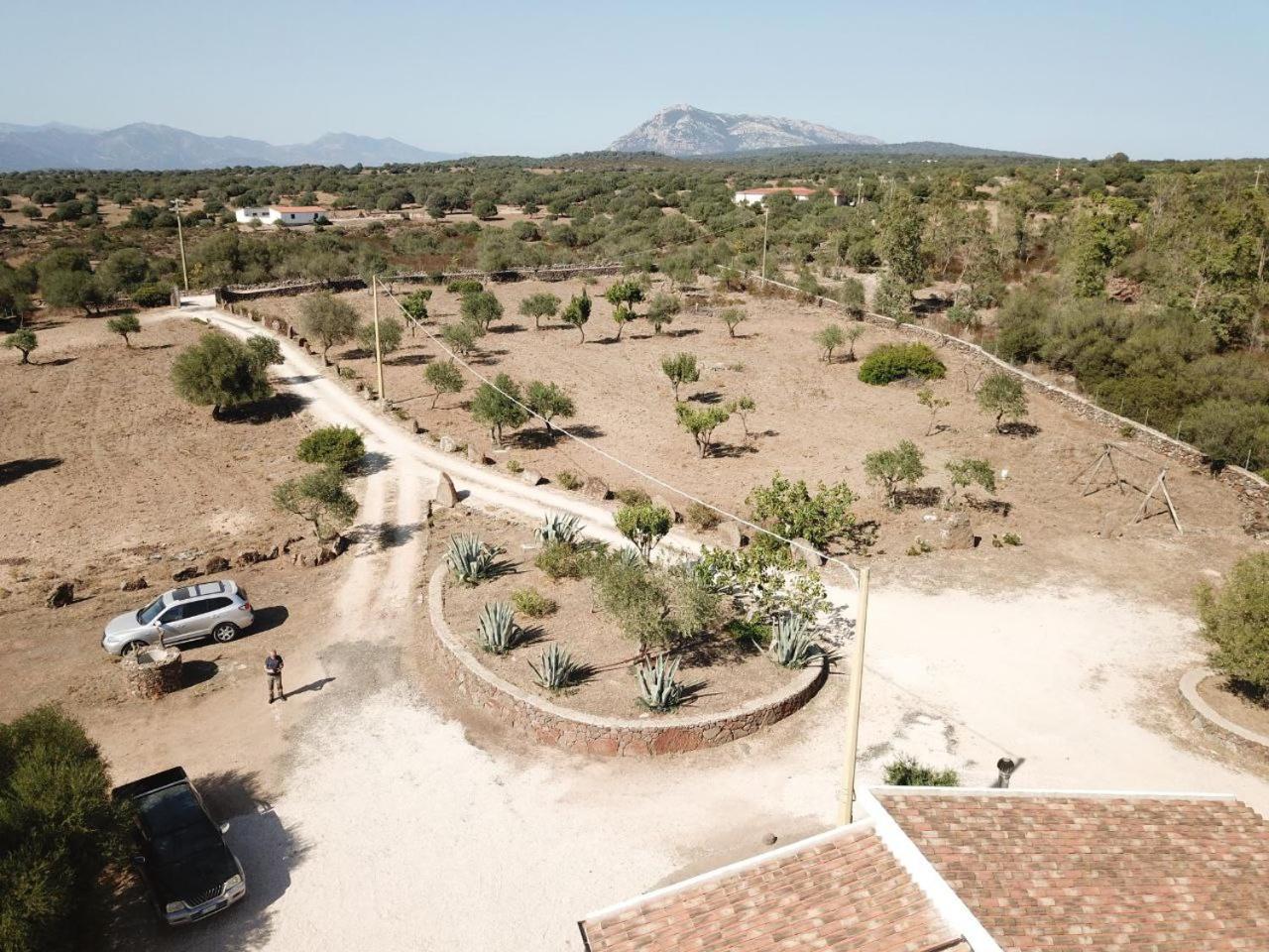 Agriturismo Sa Murta Dorgali Εξωτερικό φωτογραφία