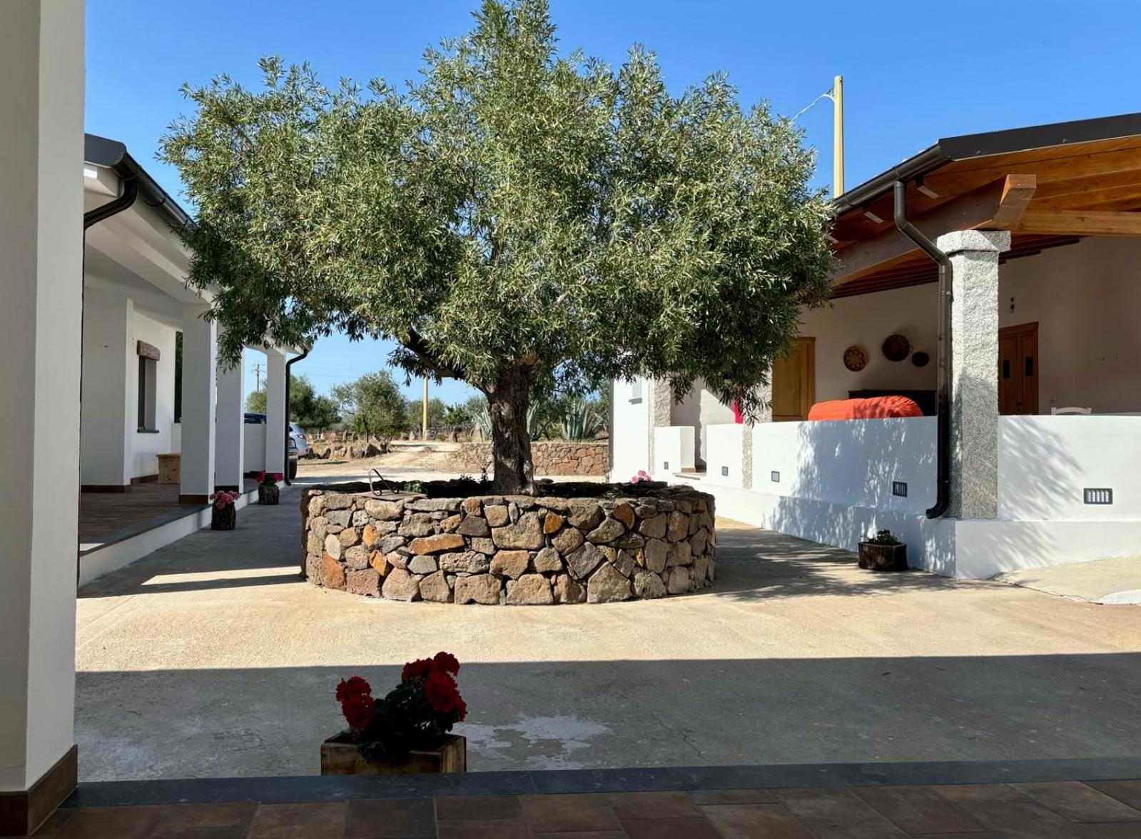 Agriturismo Sa Murta Dorgali Εξωτερικό φωτογραφία