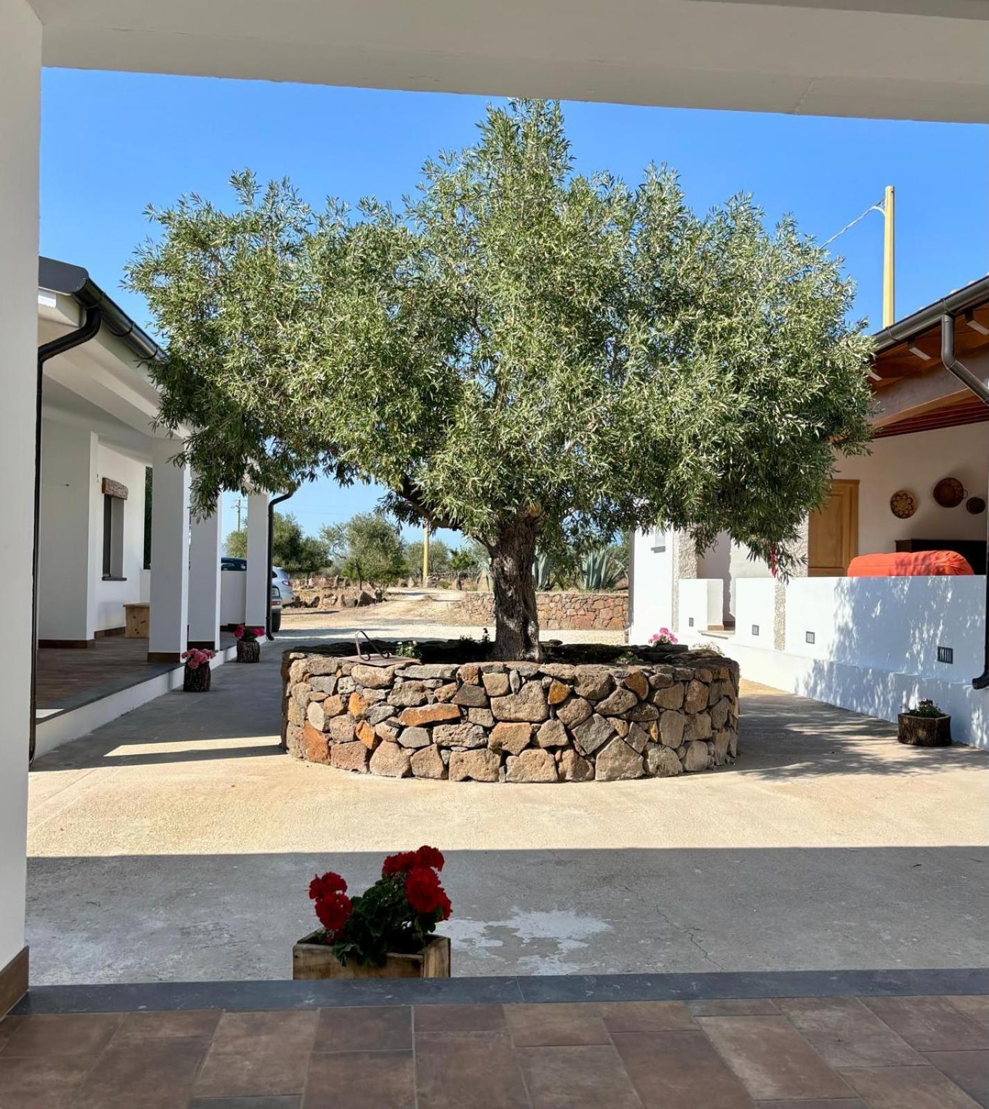 Agriturismo Sa Murta Dorgali Εξωτερικό φωτογραφία