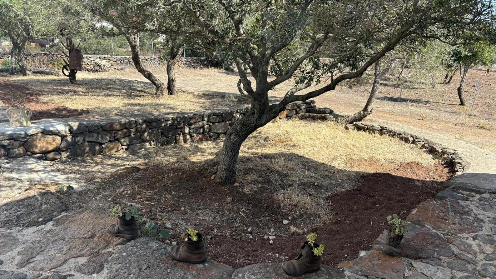Agriturismo Sa Murta Dorgali Εξωτερικό φωτογραφία