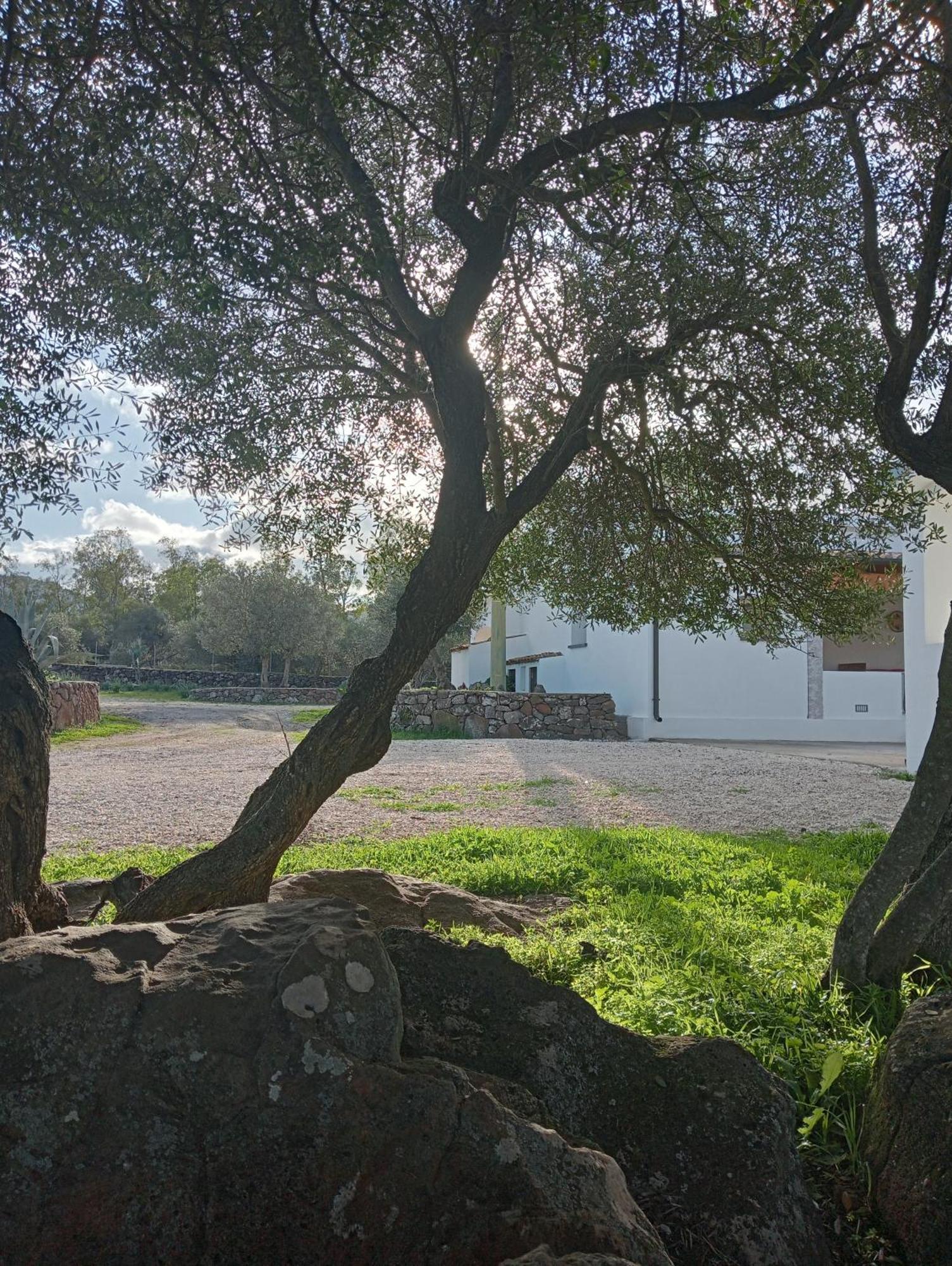 Agriturismo Sa Murta Dorgali Εξωτερικό φωτογραφία
