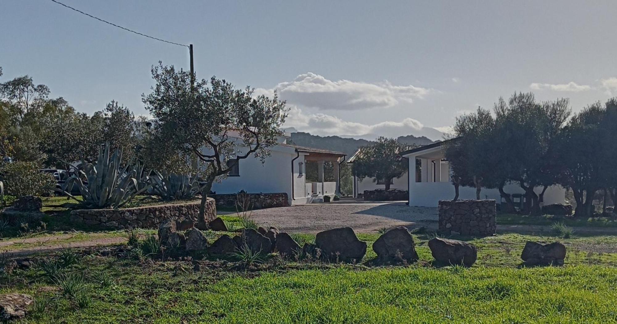 Agriturismo Sa Murta Dorgali Εξωτερικό φωτογραφία