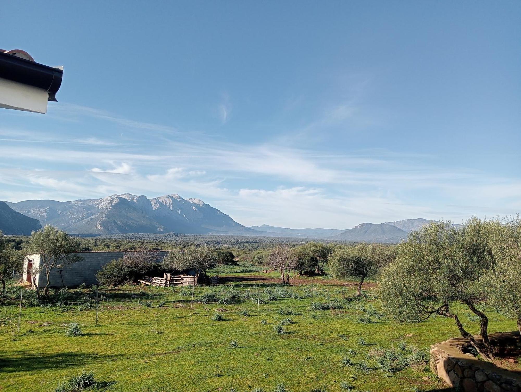 Agriturismo Sa Murta Dorgali Εξωτερικό φωτογραφία
