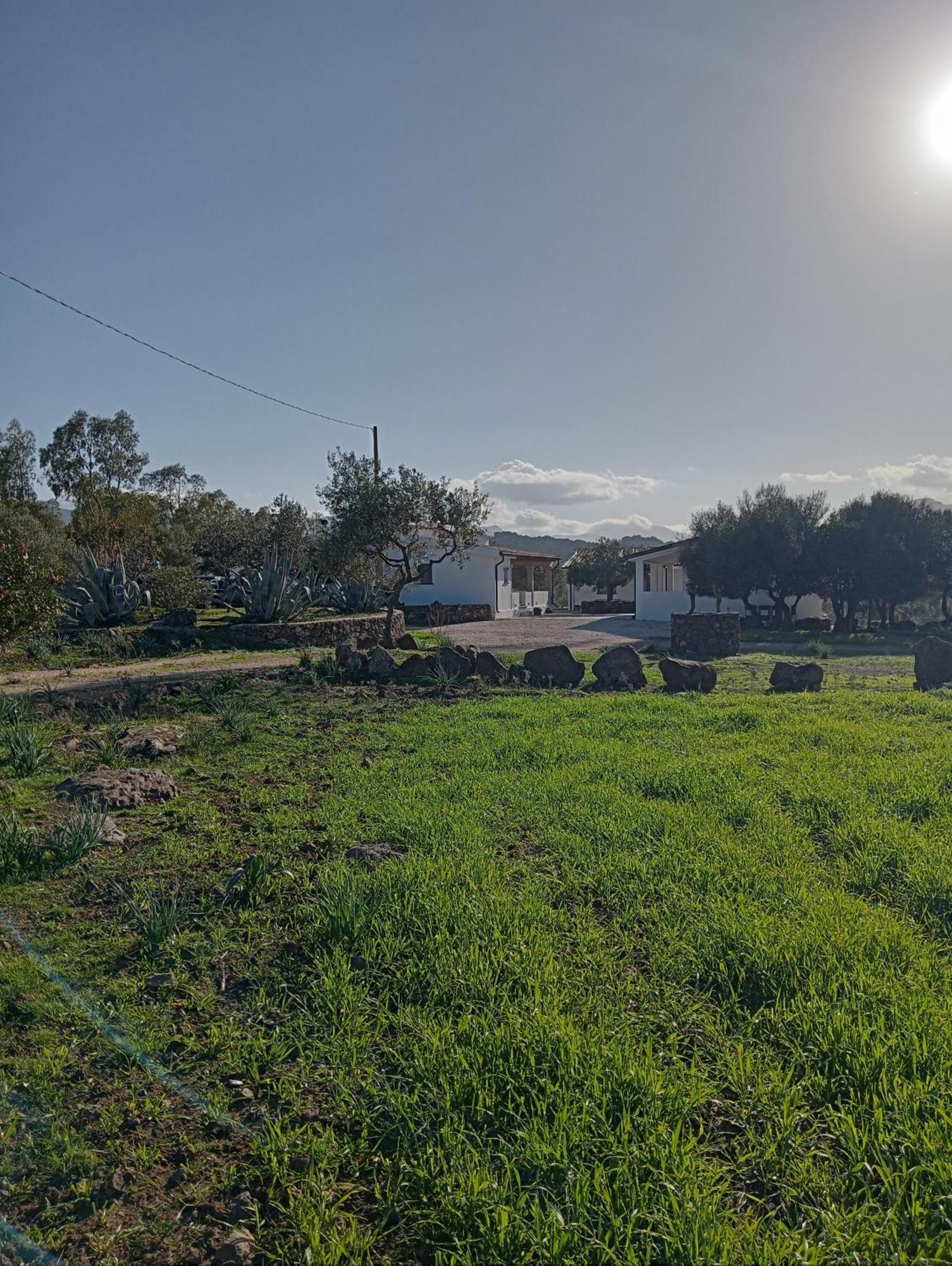 Agriturismo Sa Murta Dorgali Εξωτερικό φωτογραφία